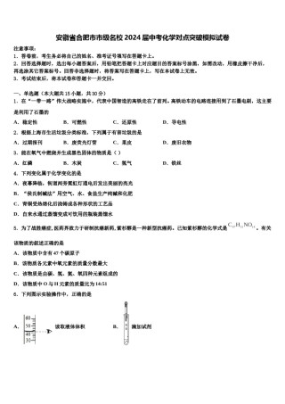 安徽省合肥市市级名校2024届中考化学对点突破模拟试卷含解析.doc
