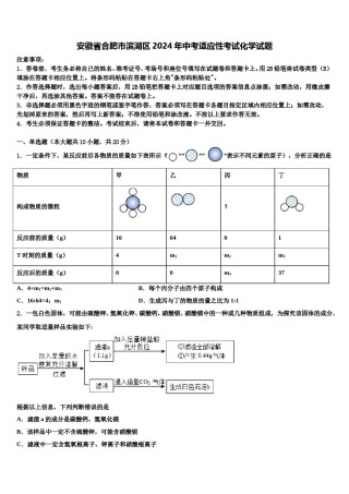 安徽省合肥市滨湖区2024年中考适应性考试化学试题含解析.doc