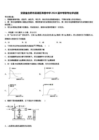 安徽省合肥市滨湖区寿春中学2024届中考联考化学试题含解析.doc