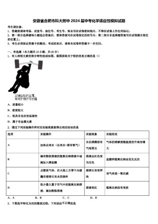 安徽省合肥市科大附中2024届中考化学适应性模拟试题含解析.doc
