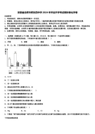 安徽省合肥市肥东四中学2024年毕业升学考试模拟卷化学卷含解析.doc