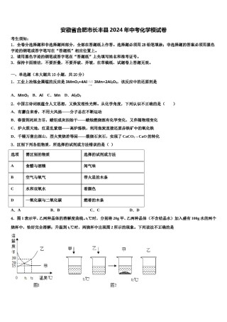 安徽省合肥市长丰县2024年中考化学模试卷含解析.doc
