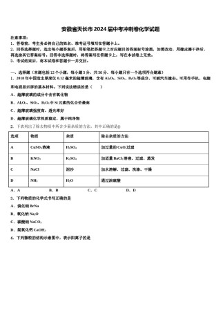 安徽省天长市2024届中考冲刺卷化学试题含解析.doc