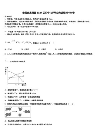 安徽省太湖县2024届初中化学毕业考试模拟冲刺卷含解析.doc