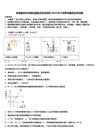 安徽省安庆市宿松县重点达标名校2024年十校联考最后化学试题含解析.doc
