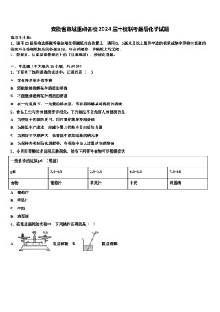 安徽省宣城重点名校2024届十校联考最后化学试题含解析.doc