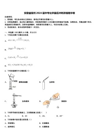 安徽省宿州2024届中考化学最后冲刺浓缩精华卷含解析.doc