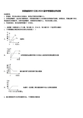 安徽省宿州十三校2024届中考猜题化学试卷含解析.doc