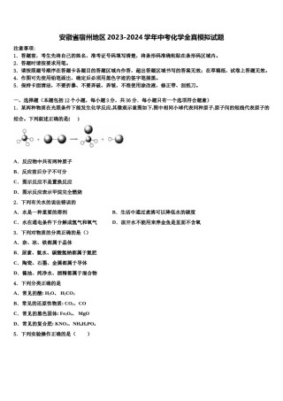 安徽省宿州地区2023-2024学年中考化学全真模拟试题含解析.doc