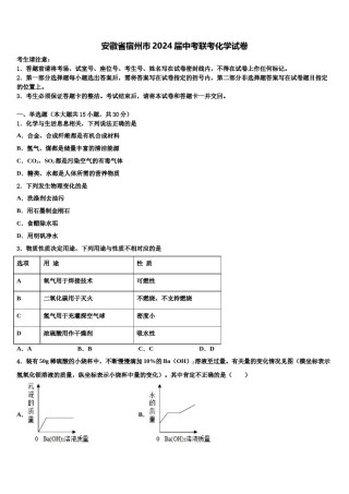 安徽省宿州市2024届中考联考化学试卷含解析.doc