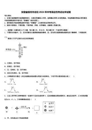 安徽省宿州市名校2024年中考适应性考试化学试题含解析.doc