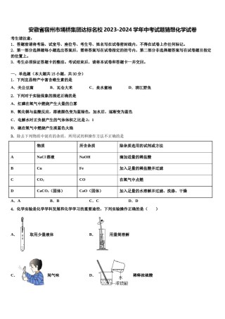 安徽省宿州市埇桥集团达标名校2023-2024学年中考试题猜想化学试卷含解析.doc