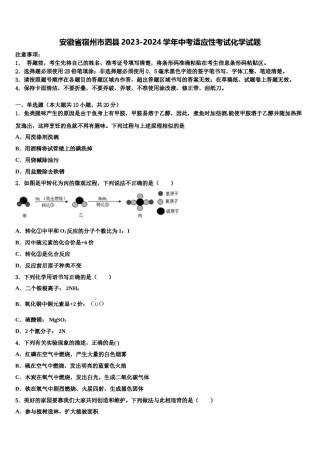 安徽省宿州市泗县2023-2024学年中考适应性考试化学试题含解析.doc