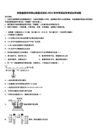 安徽省宿州市砀山县重点名校2024年中考适应性考试化学试题含解析.doc