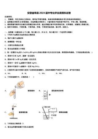 安徽省寿县2024届中考化学全真模拟试卷含解析.doc