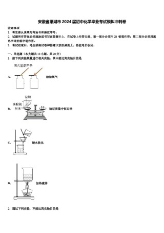 安徽省巢湖市2024届初中化学毕业考试模拟冲刺卷含解析.doc