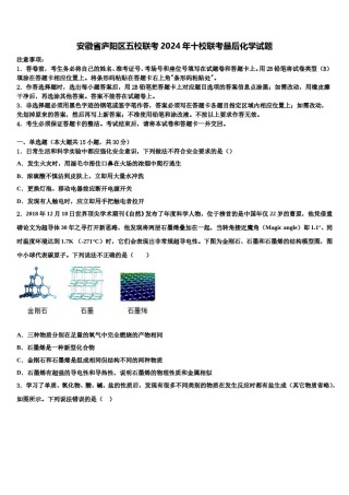 安徽省庐阳区五校联考2024年十校联考最后化学试题含解析.doc