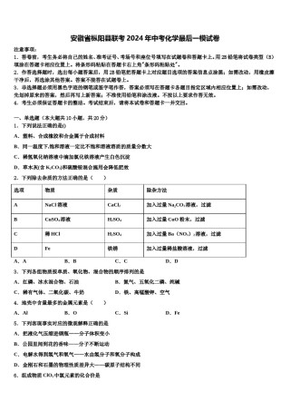 安徽省枞阳县联考2024年中考化学最后一模试卷含解析.doc
