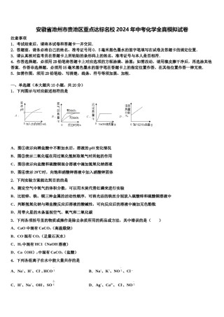 安徽省池州市贵池区重点达标名校2024年中考化学全真模拟试卷含解析.doc