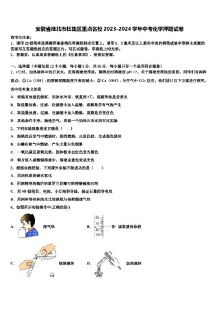 安徽省淮北市杜集区重点名校2023-2024学年中考化学押题试卷含解析.doc