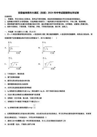 安徽省淮南市大通区（东部）2024年中考试题猜想化学试卷含解析.doc