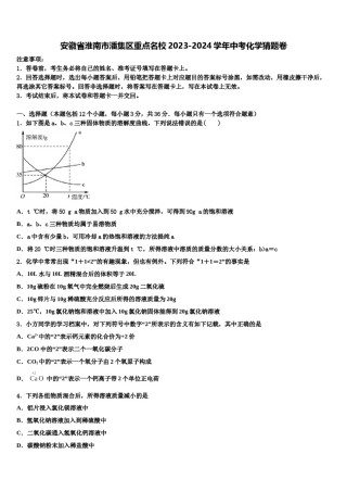 安徽省淮南市潘集区重点名校2023-2024学年中考化学猜题卷含解析.doc