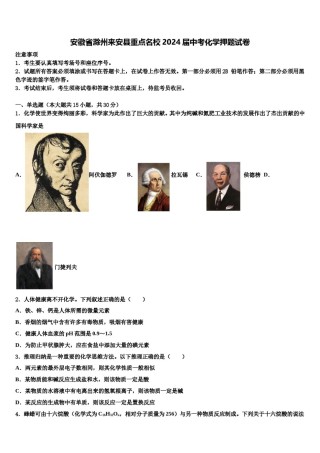 安徽省滁州来安县重点名校2024届中考化学押题试卷含解析.doc