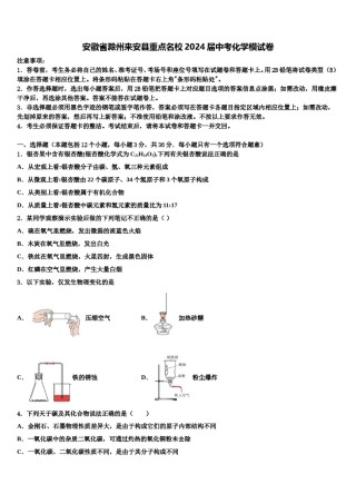 安徽省滁州来安县重点名校2024届中考化学模试卷含解析.doc