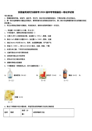 安徽省芜湖无为县联考2024届中考考前最后一卷化学试卷含解析.doc