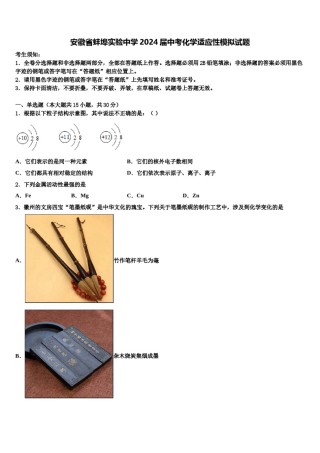 安徽省蚌埠实验中学2024届中考化学适应性模拟试题含解析.doc
