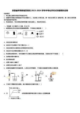 安徽省蚌埠新城实验校2023-2024学年中考化学对点突破模拟试卷含解析.doc