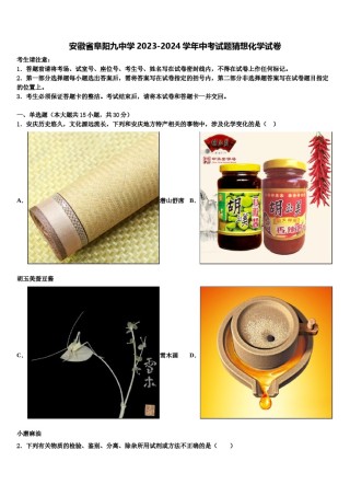 安徽省阜阳九中学2023-2024学年中考试题猜想化学试卷含解析.doc