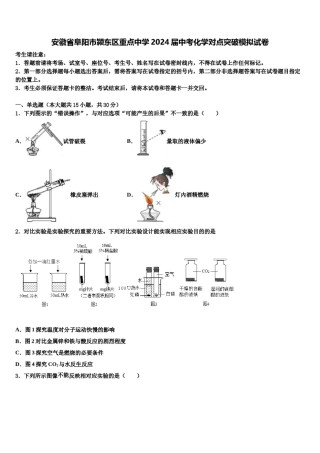 安徽省阜阳市颍东区重点中学2024届中考化学对点突破模拟试卷含解析.doc