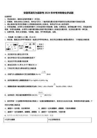 安徽芜湖无为县联考2024年中考冲刺卷化学试题含解析.doc