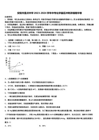 安阳市重点中学2023-2024学年中考化学最后冲刺浓缩精华卷含解析.doc