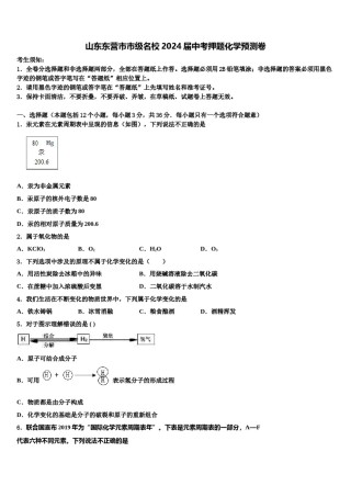 山东东营市市级名校2024届中考押题化学预测卷含解析.doc