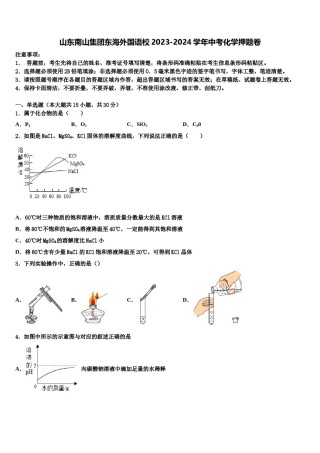 山东南山集团东海外国语校2023-2024学年中考化学押题卷含解析.doc