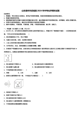 山东德州市武城县2024年中考化学模拟试题含解析.doc