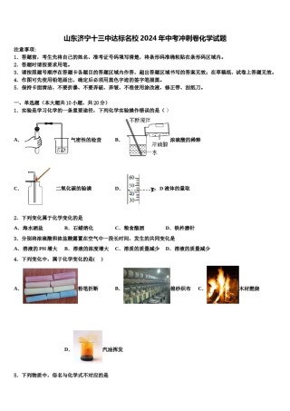 山东济宁十三中达标名校2024年中考冲刺卷化学试题含解析.doc