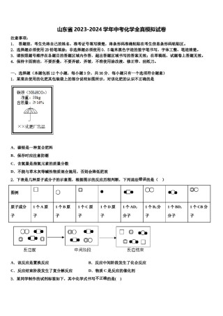 山东省2023-2024学年中考化学全真模拟试卷含解析.doc