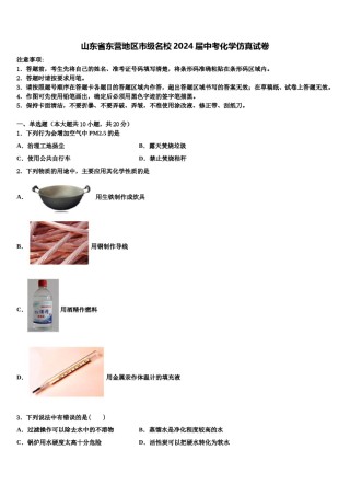 山东省东营地区市级名校2024届中考化学仿真试卷含解析.doc