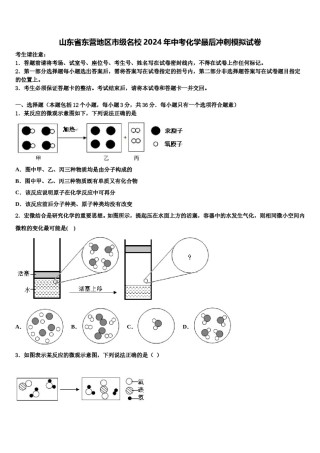山东省东营地区市级名校2024年中考化学最后冲刺模拟试卷含解析.doc