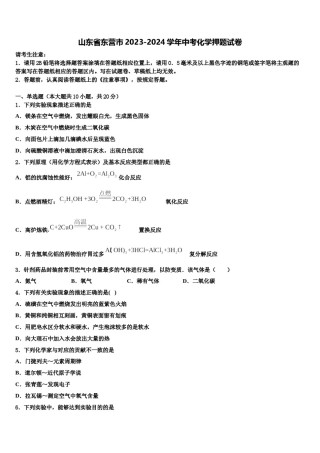 山东省东营市2023-2024学年中考化学押题试卷含解析.doc