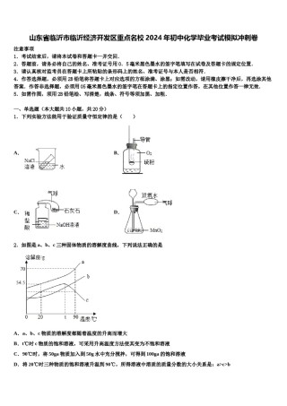 山东省临沂市临沂经济开发区重点名校2024年初中化学毕业考试模拟冲刺卷含解析.doc