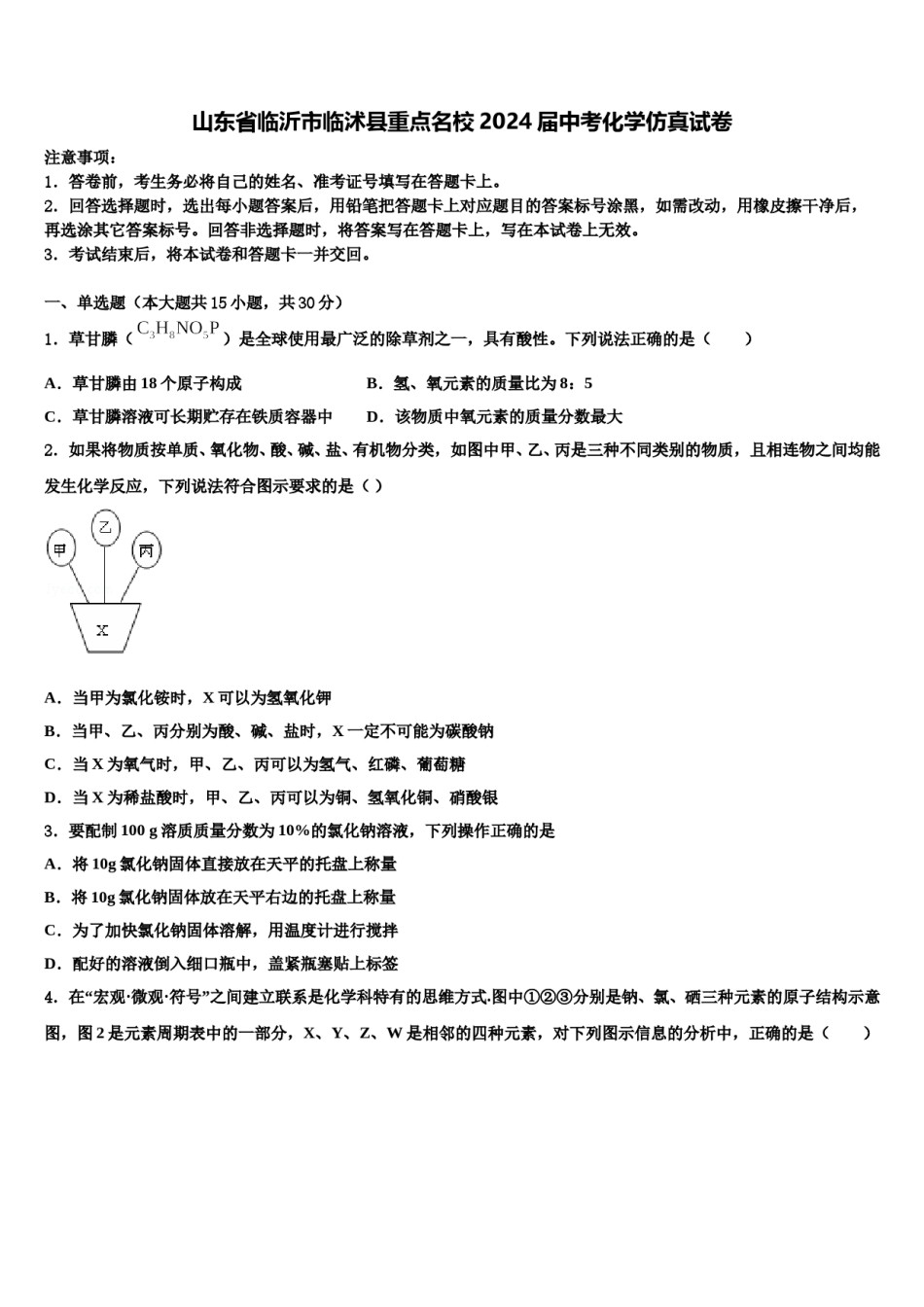 山东省临沂市临沭县重点名校2024届中考化学仿真试卷含解析.doc_第1页