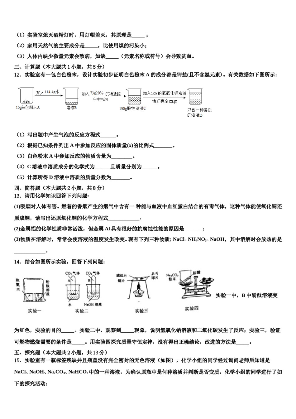 山东省临沂市兰山区市级名校2024届中考冲刺卷化学试题含解析.doc_第3页