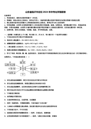 山东省临沂市名校2024年中考化学猜题卷含解析.doc