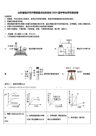 山东省临沂市沂南县重点达标名校2024届中考化学仿真试卷含解析.doc
