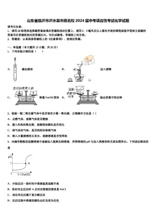 山东省临沂市沂水县市级名校2024届中考适应性考试化学试题含解析.doc