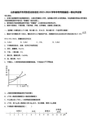 山东省临沂市河东区达标名校2023-2024学年中考考前最后一卷化学试卷含解析.doc